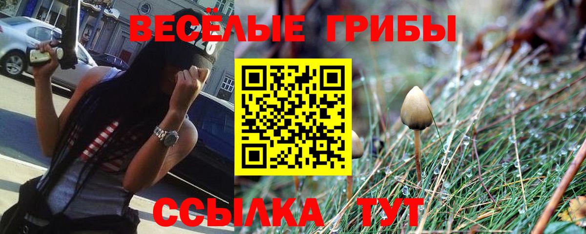 наркота  Псилоцибиновые грибы GOLDEN TEACHER  Вход с VPN  Асбест 